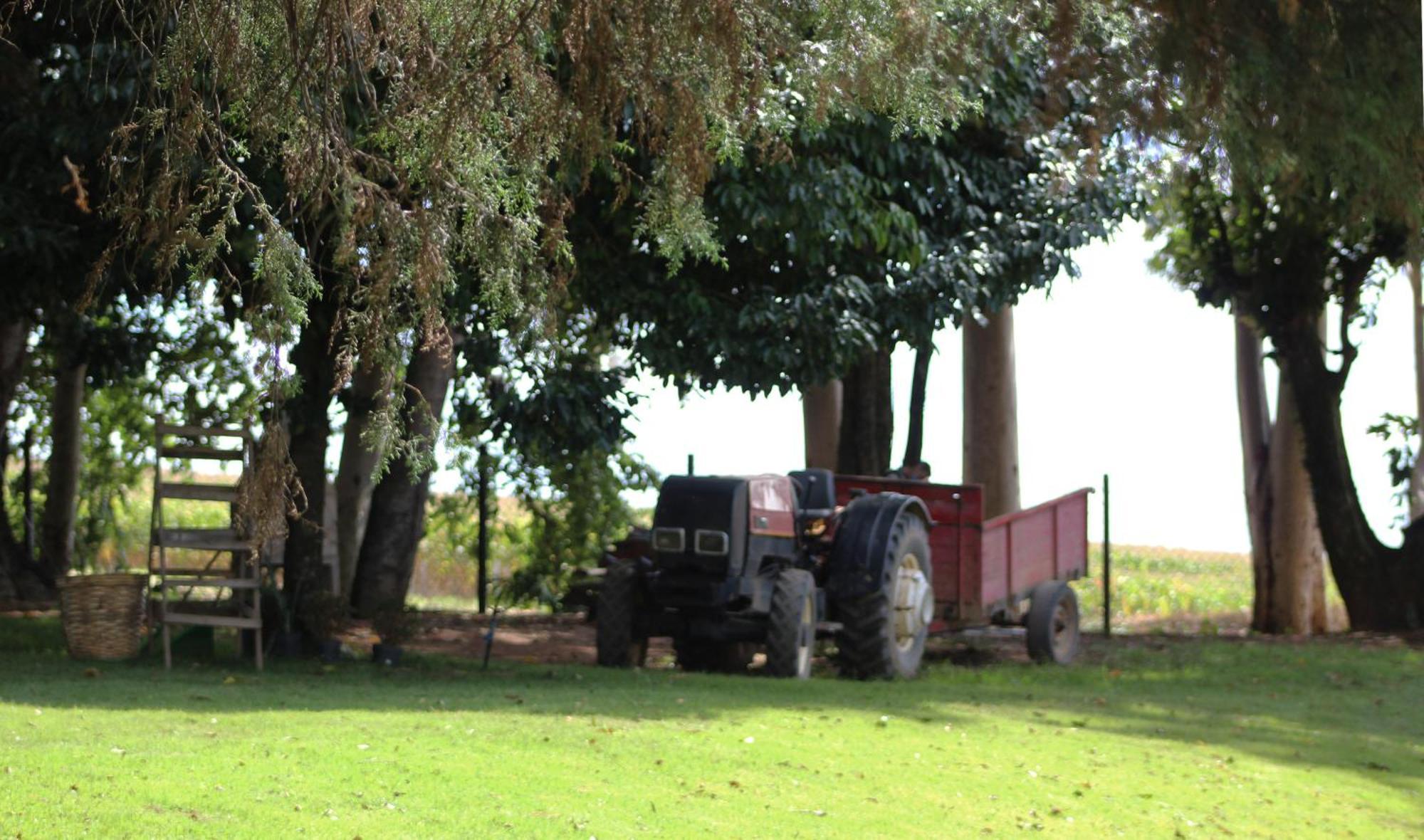 Limoeiro Da Concordia Hotel Fazenda De Charme Cabreúva Екстериор снимка