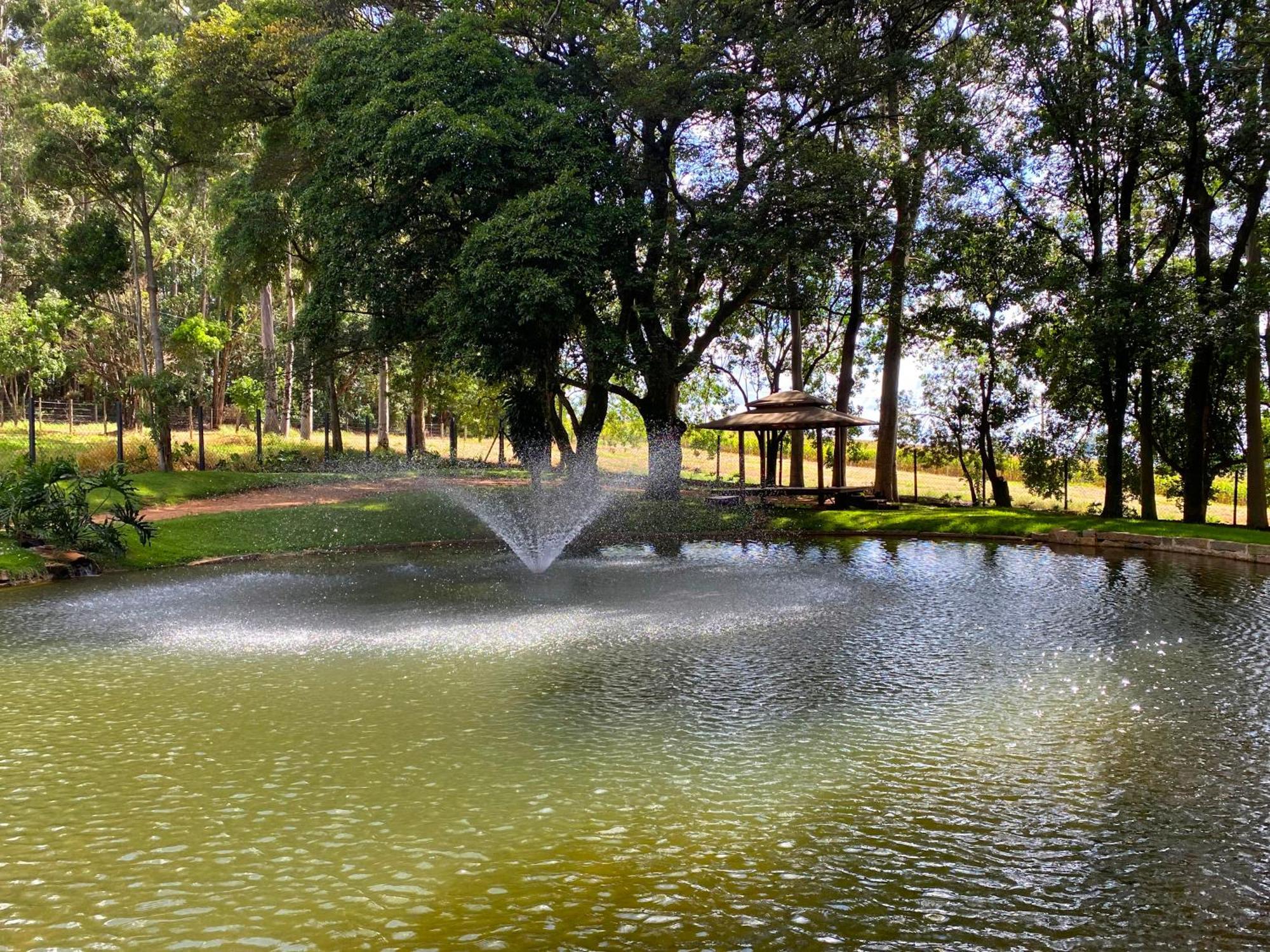 Limoeiro Da Concordia Hotel Fazenda De Charme Cabreúva Екстериор снимка